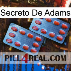 Adams Secret 05